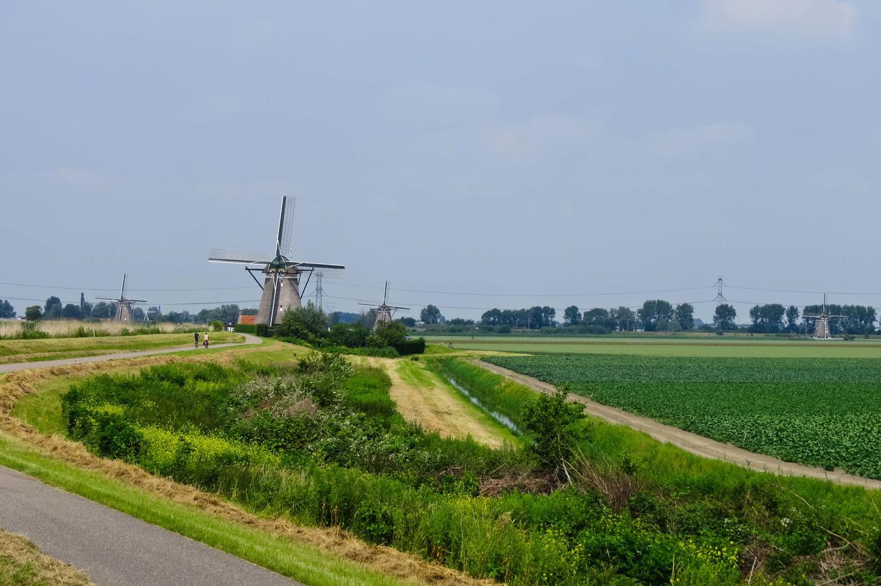 De Strandgaper Zevenhuizen  Экстерьер фото
