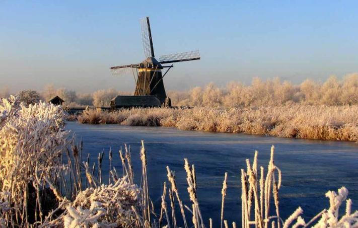 De Strandgaper Zevenhuizen  Экстерьер фото
